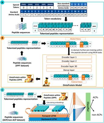 ACP-DRL: an anticancer peptides recognition method based on deep representation learning